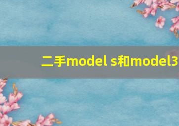 二手model s和model3